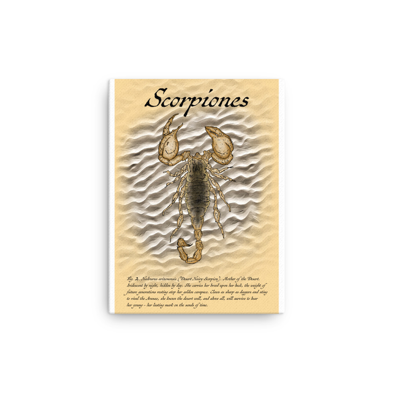 Fig. 2. Scorpiones (Desert Hairy Scorpion) - Thin canvas