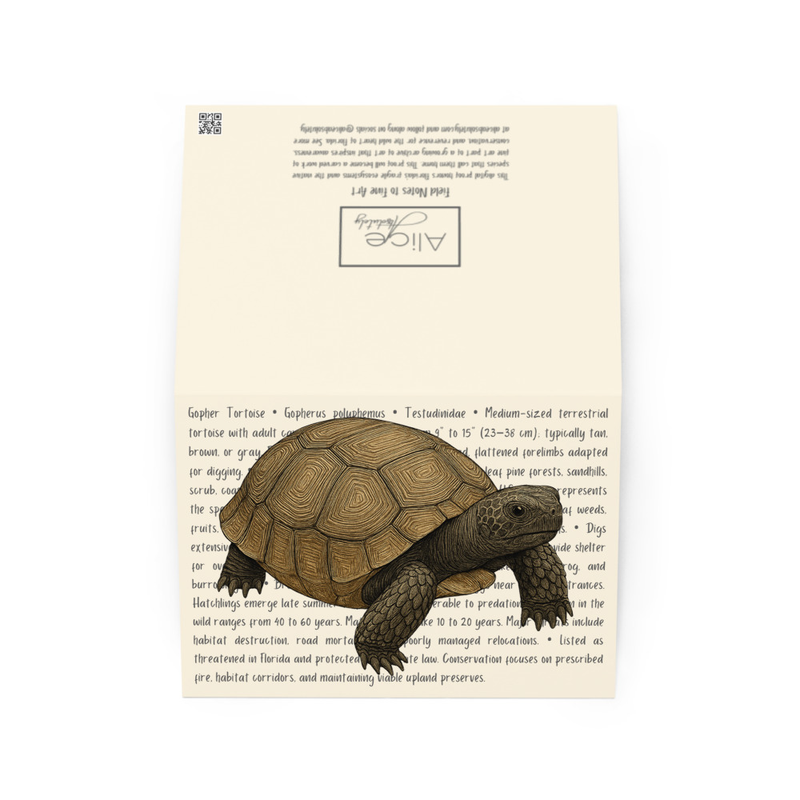 Gopher Tortoise Greeting Card
