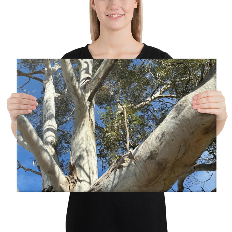 Choose Your Path Canvas Print – 16″×24″