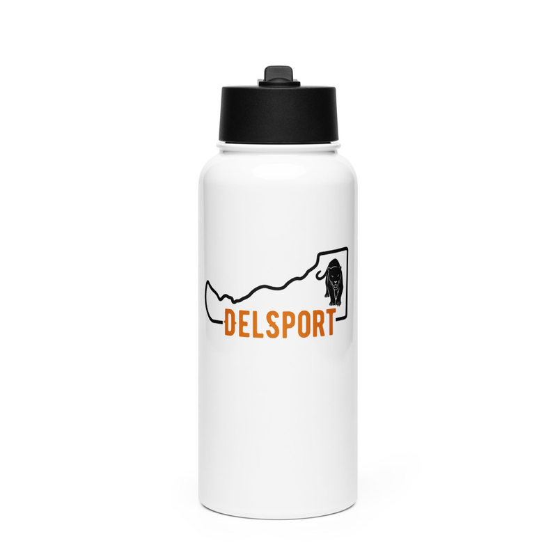 DELSPORT stainless steel water bottle with a straw lid
