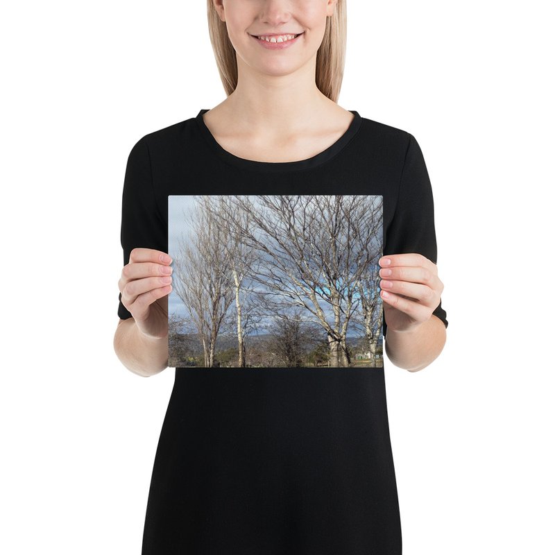 Hidden in Plain Sight Canvas Print – 8″×10″