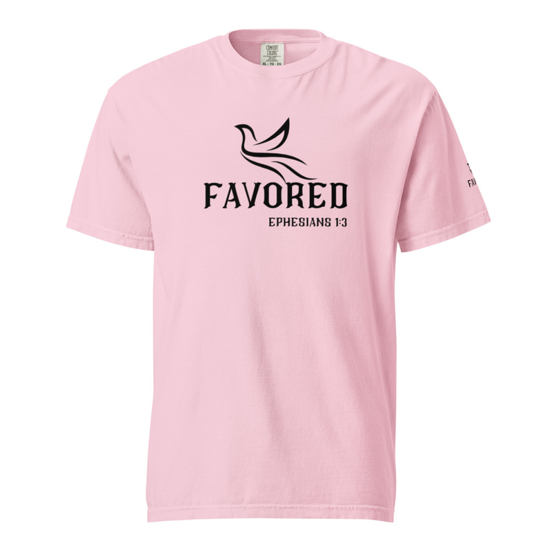 FAVORED Unisex garment-dyed heavyweight t-shirt