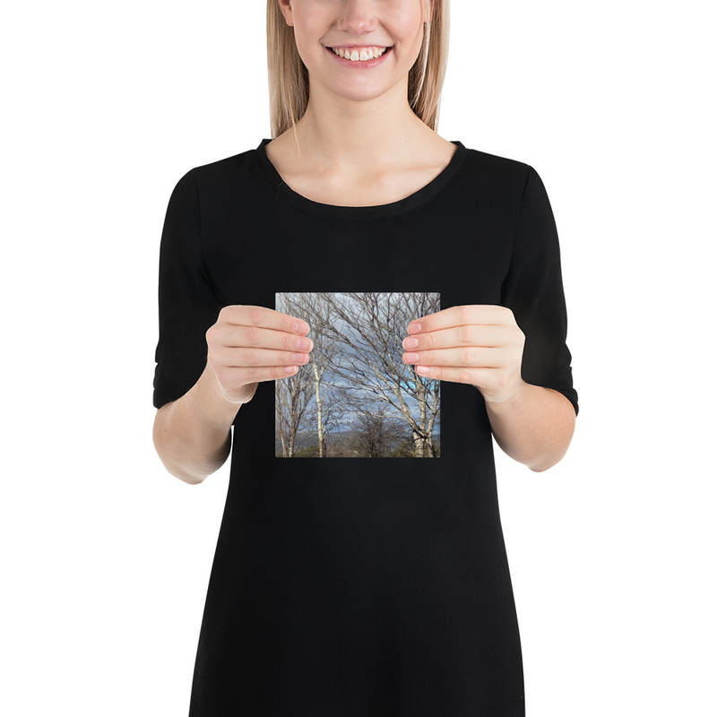 Hidden in Plain Sight Canvas Print