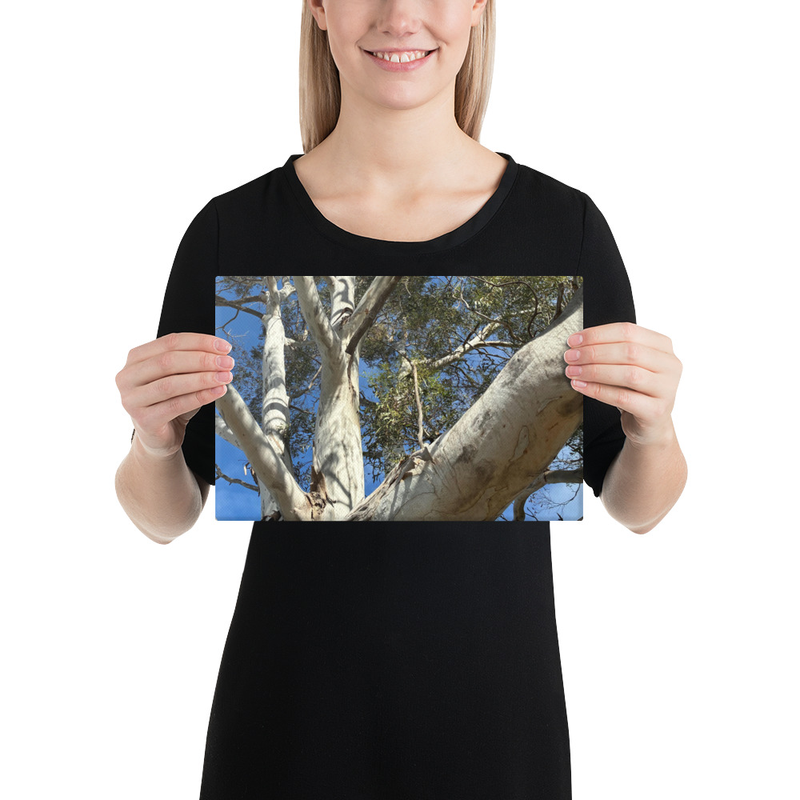 Choose Your Path Canvas Print – 8″×12″