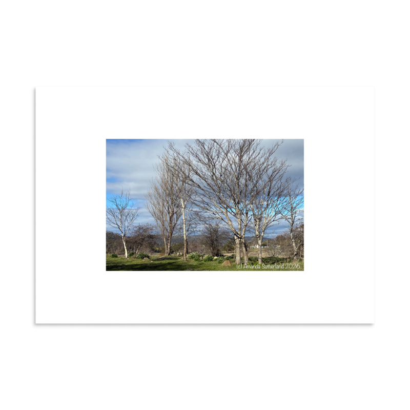Hidden in Plain Sight Poster – 28″×40″