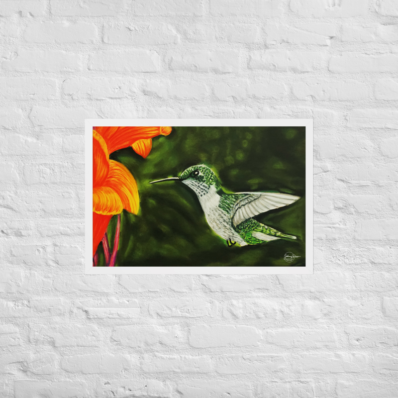 Hummingbird 1 Framed Print – 20″×30″, White