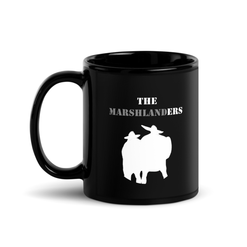 Black Glossy Mug