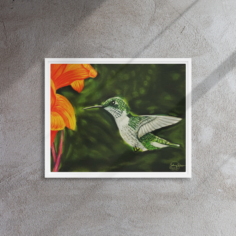 Hummingbird 1 Framed Canvas – 16″×20″, White