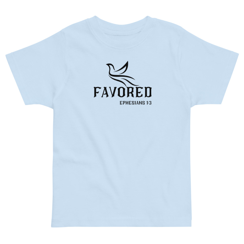 FAVORED Toddler jersey t-shirt – 2, Light Blue