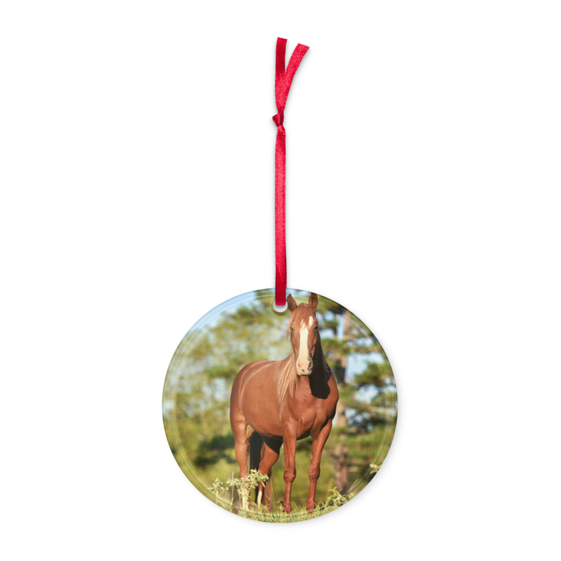 Holiday Ornament - Mare