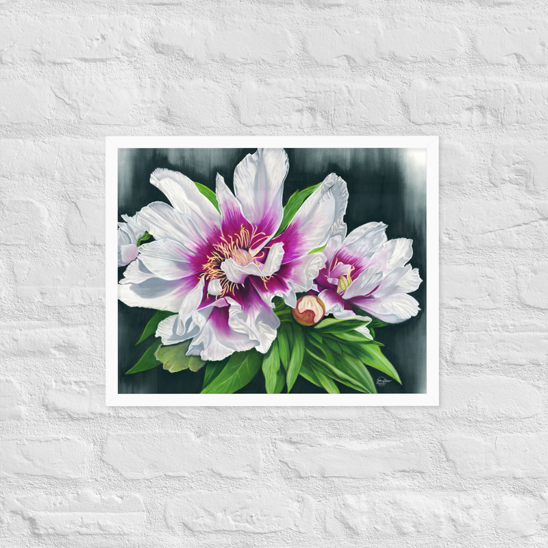 Peony Envy Framed Print – Image 12