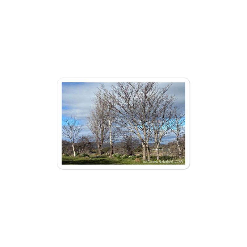 Hidden in Plain Sight Sticker – 5.5″×5.5″, White