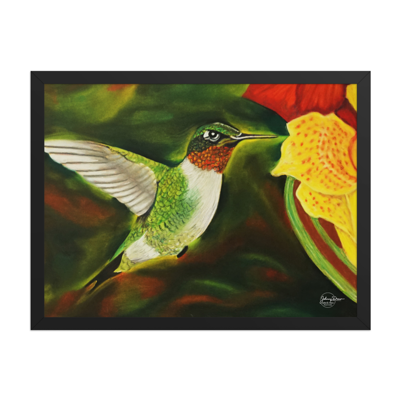 Hummingbird 2 Framed Print – 18″×24″, Black