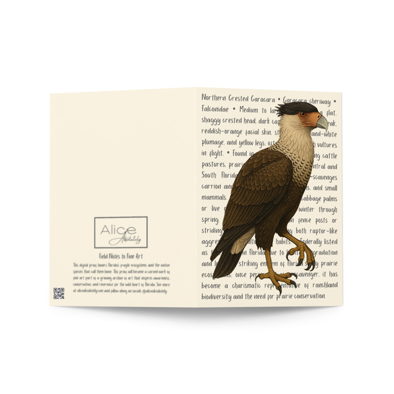 Northern Crested Caracara Greeting Card