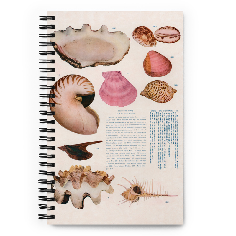 STORY OF SHELL