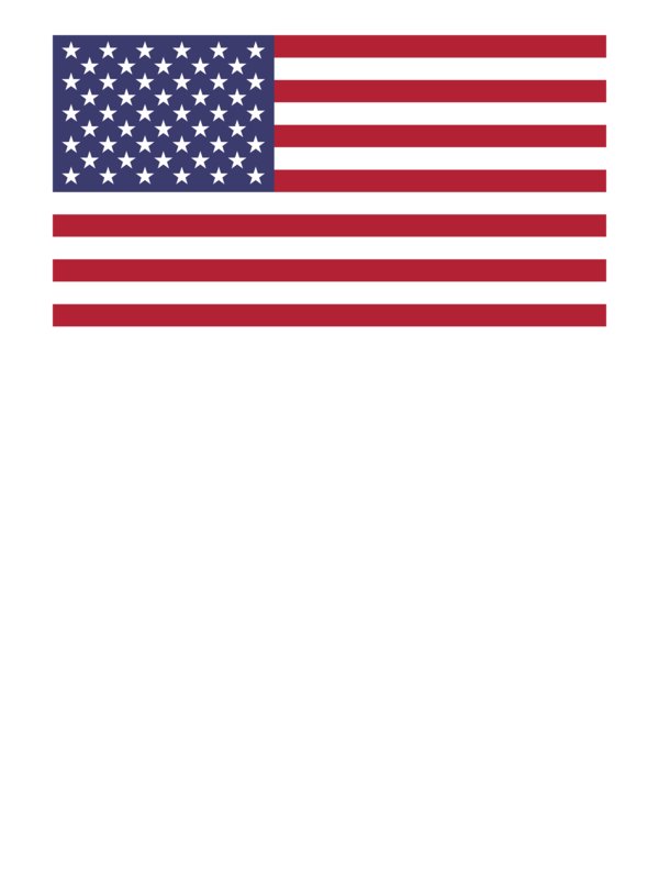 American flag tee — Size: L, Color: Navy