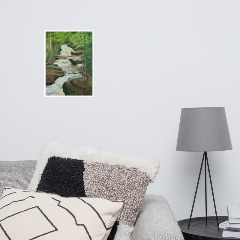 Baxter Waterfall Matte Print