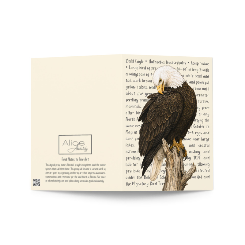 Bald Eagle Greeting Card