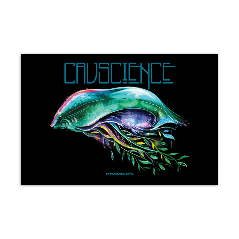 Space Jelly - Standard Postcard 4"x6"