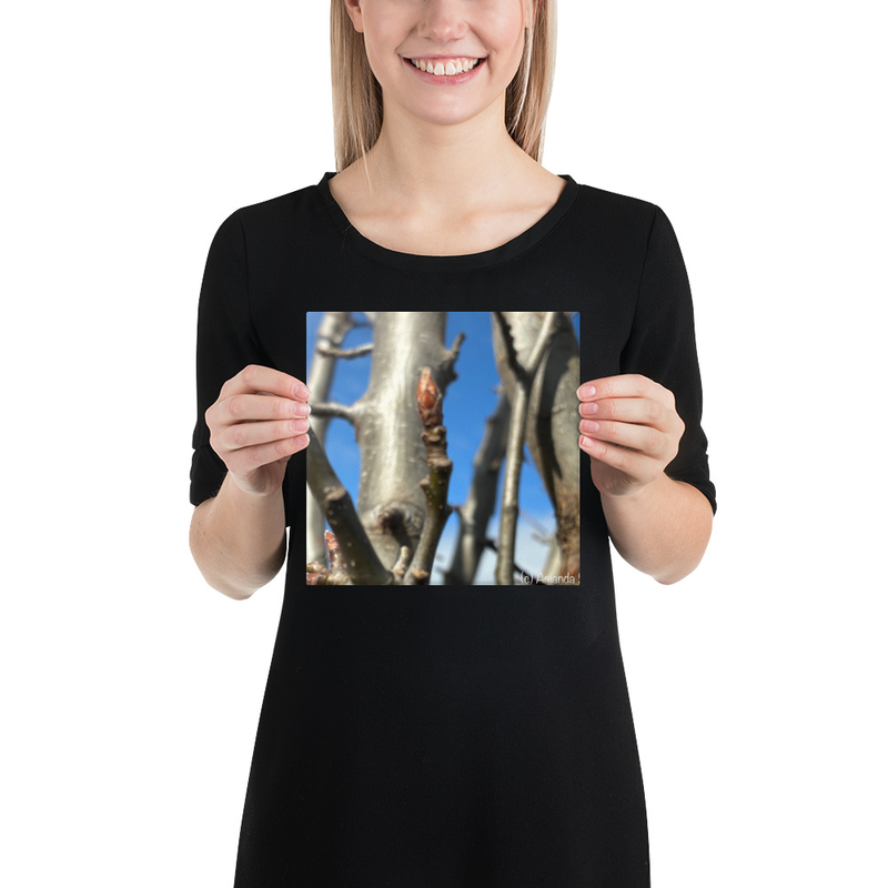 After the Cold Canvas Print