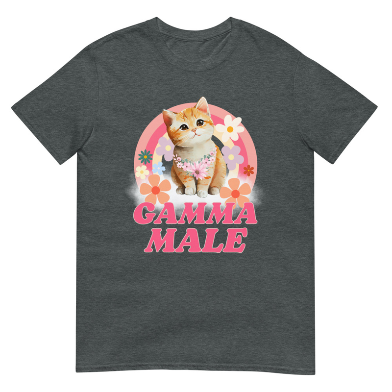 Gamma Male Cat Kitten - Dark Heather
