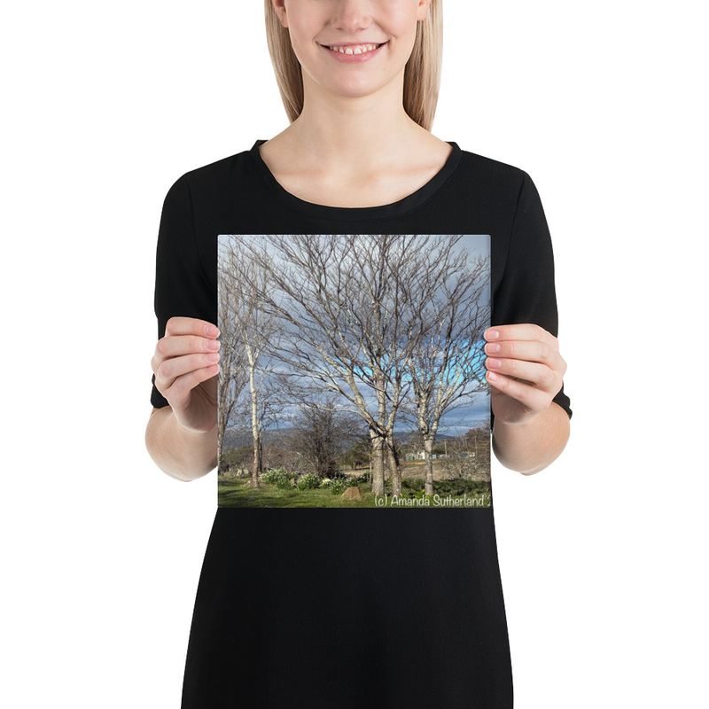 Hidden in Plain Sight Canvas Print