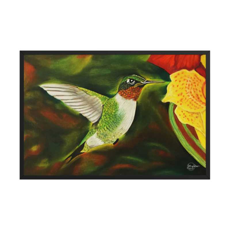 Hummingbird 2 Framed Print – Image 4