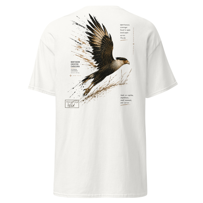 Northern Crested Caracara Absolutely Wild Tee
