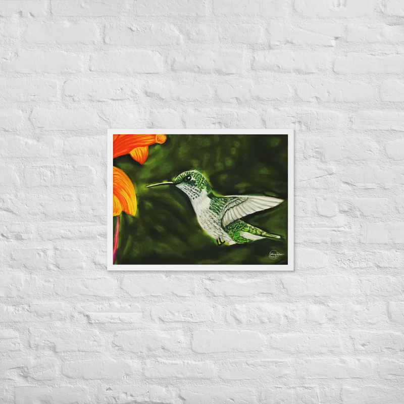 Hummingbird 1 Framed Print – 18″×24″, White