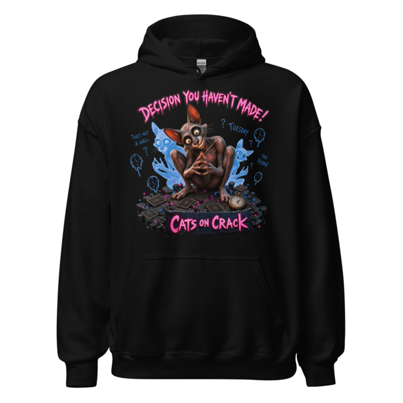 Decision You Hadn't Made Hoodie
