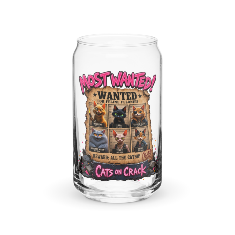 Most Wanted 16oz Can Glass