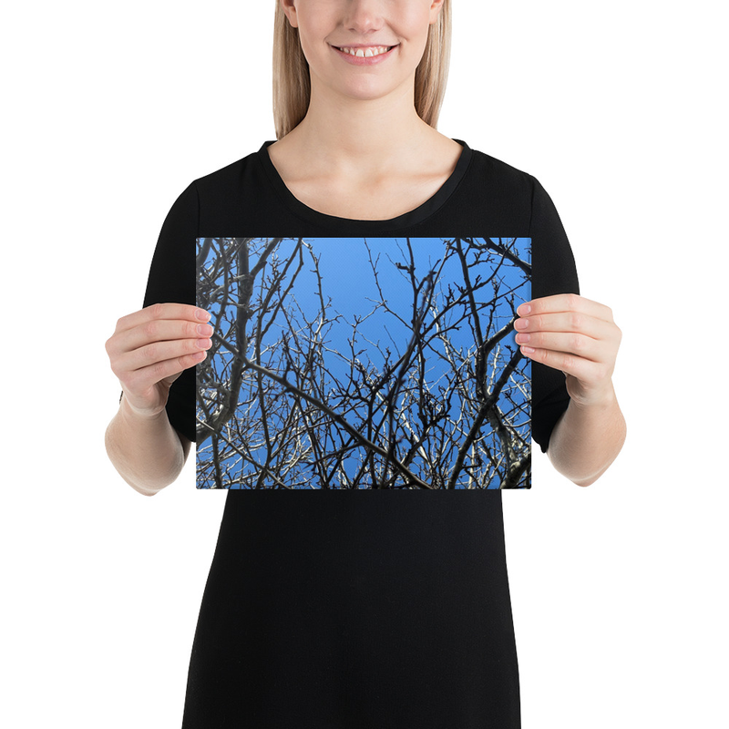 Branching Thoughts Canvas Print – 9″×12″