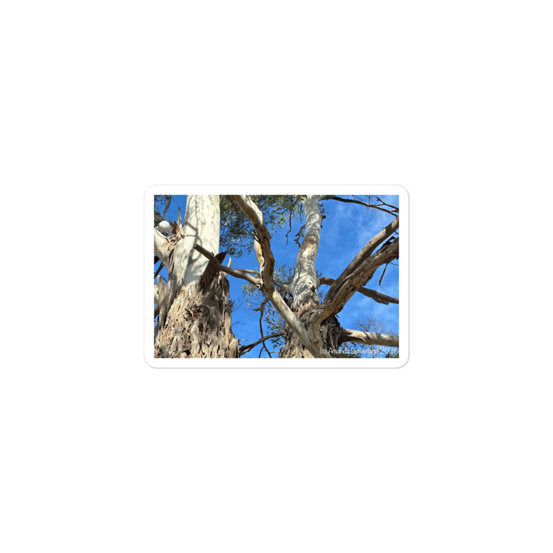 Branching Out Sticker