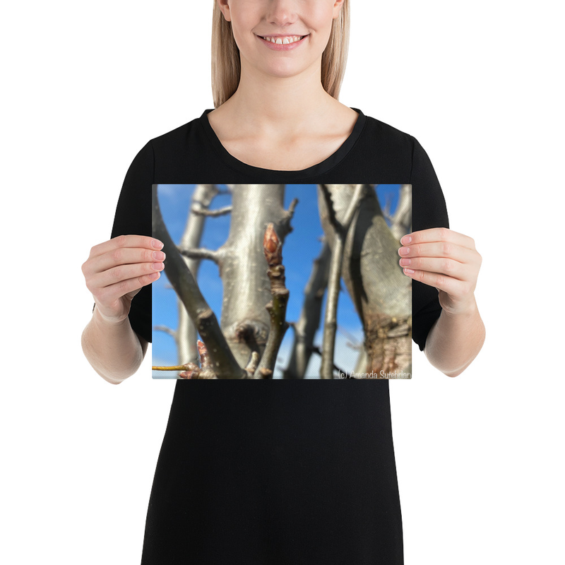 After the Cold Canvas Print – 9″×12″