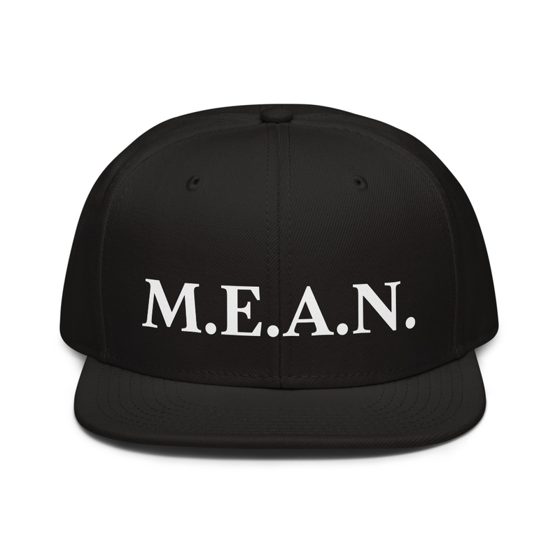 M.E.A.N. Snapback Hat