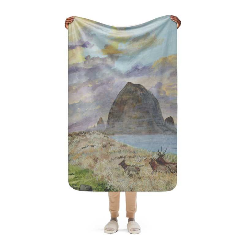 Sherpa Blanket