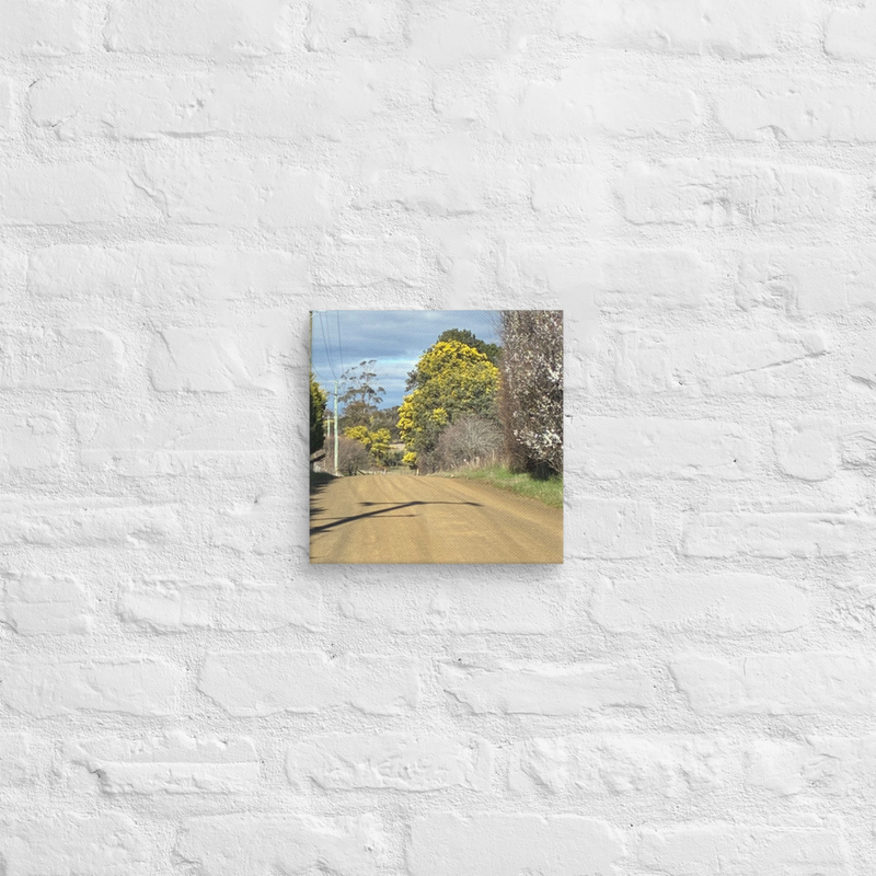 Beyond the Familiar Canvas Print