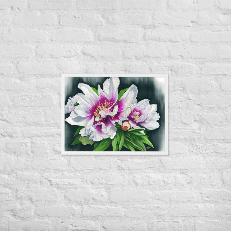 Peony Envy Framed Print – 18″×24″, White