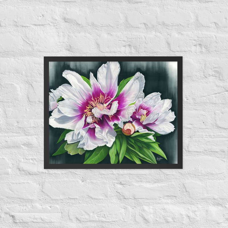 Peony Envy Framed Print – Image 2