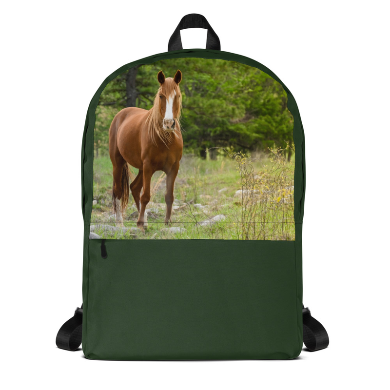 Horse Backpack