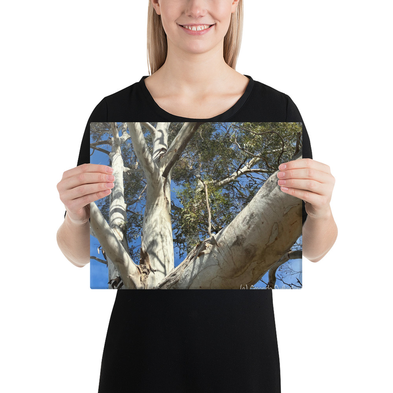 Choose Your Path Canvas Print – 11″×14″