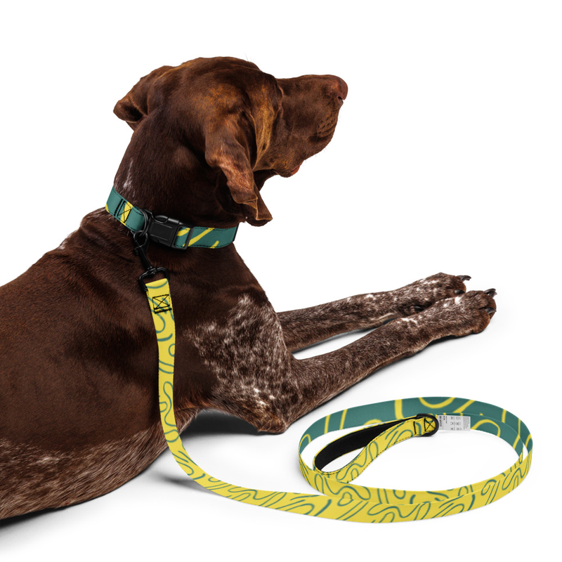 Pet collar & leash