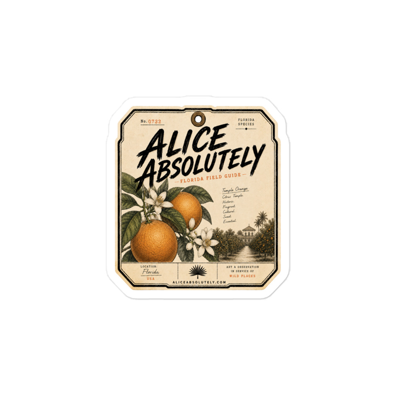 Temple Orange Vinyl Decal – 4″×6″, Satin