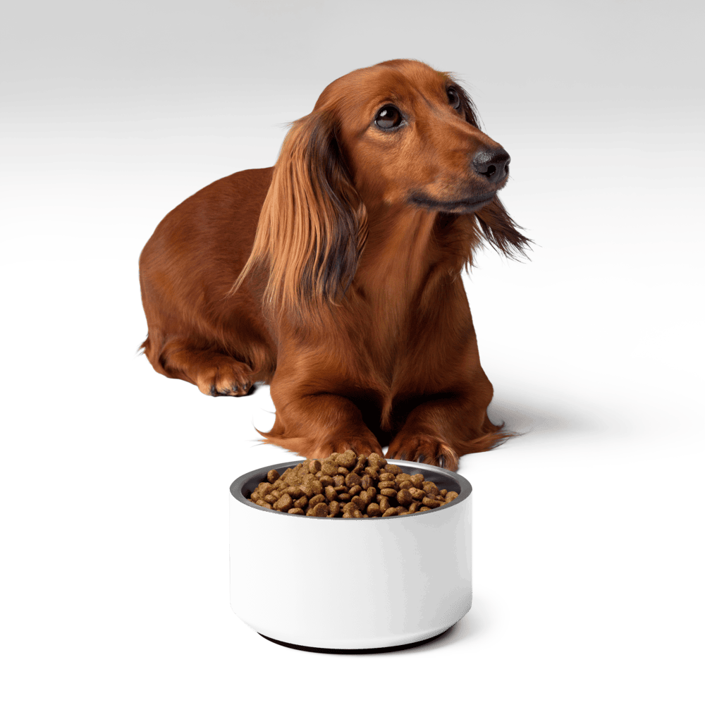 Product view