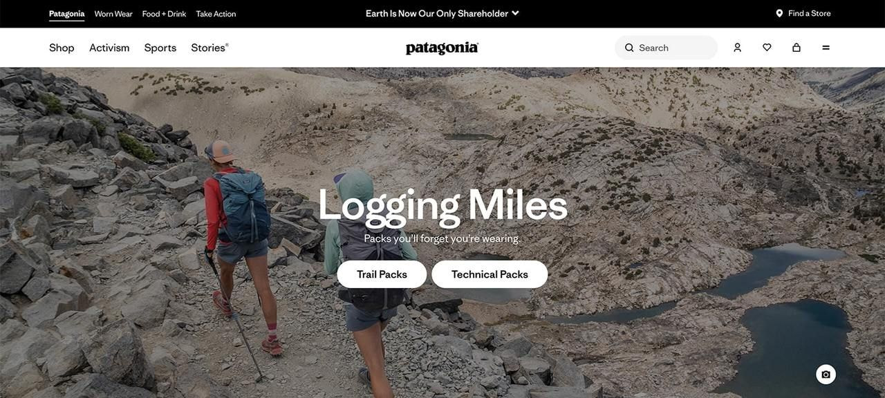 Patagonia homepage hero section screenshot.