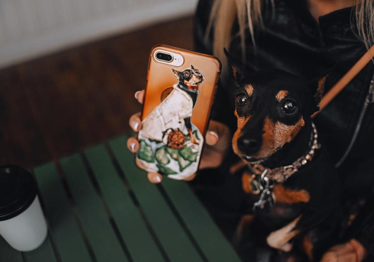 A small dog with a black and tan coat sits on a person's lap. The person holds a phone case with a dressed-up dog illustration.