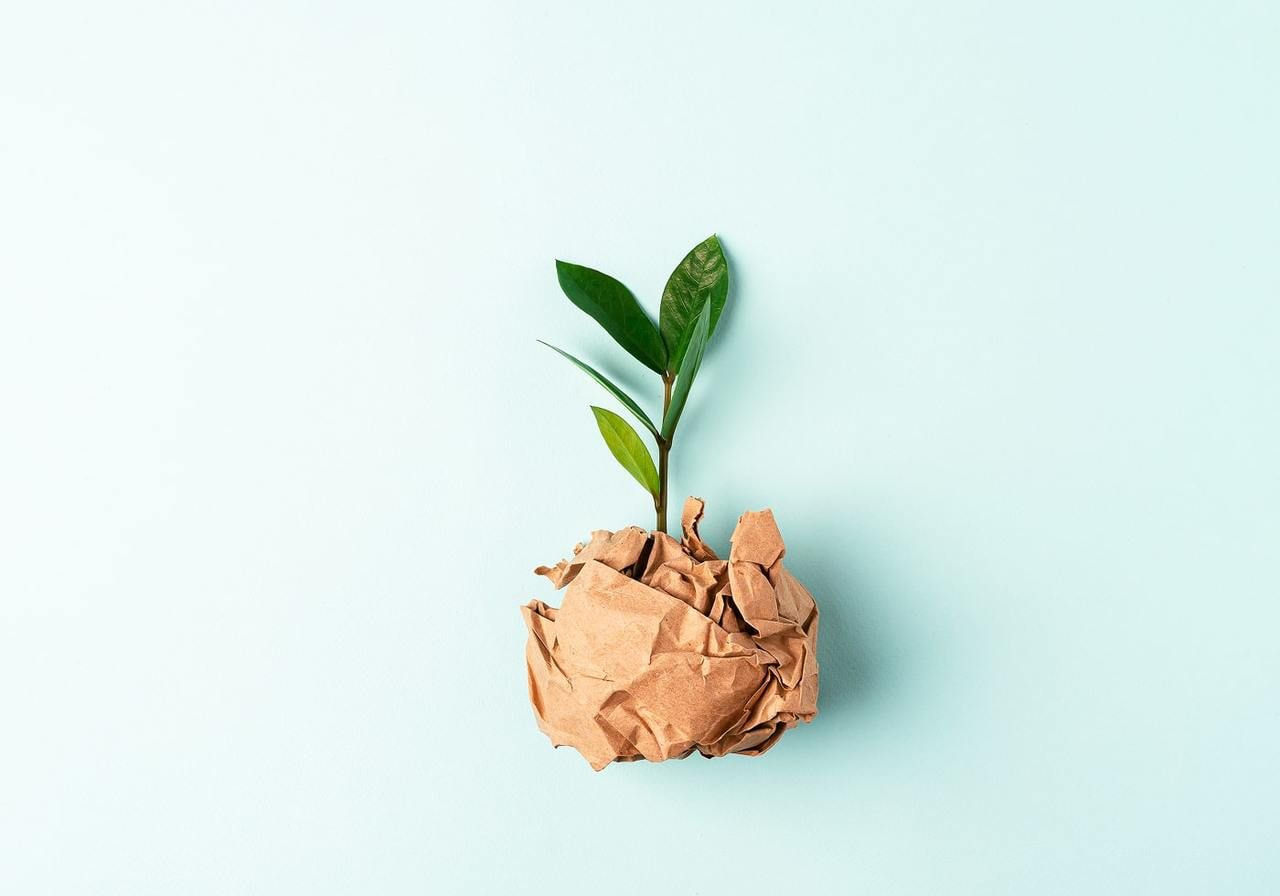 A small green plant sprouts from a brown paper bag against a blue background.