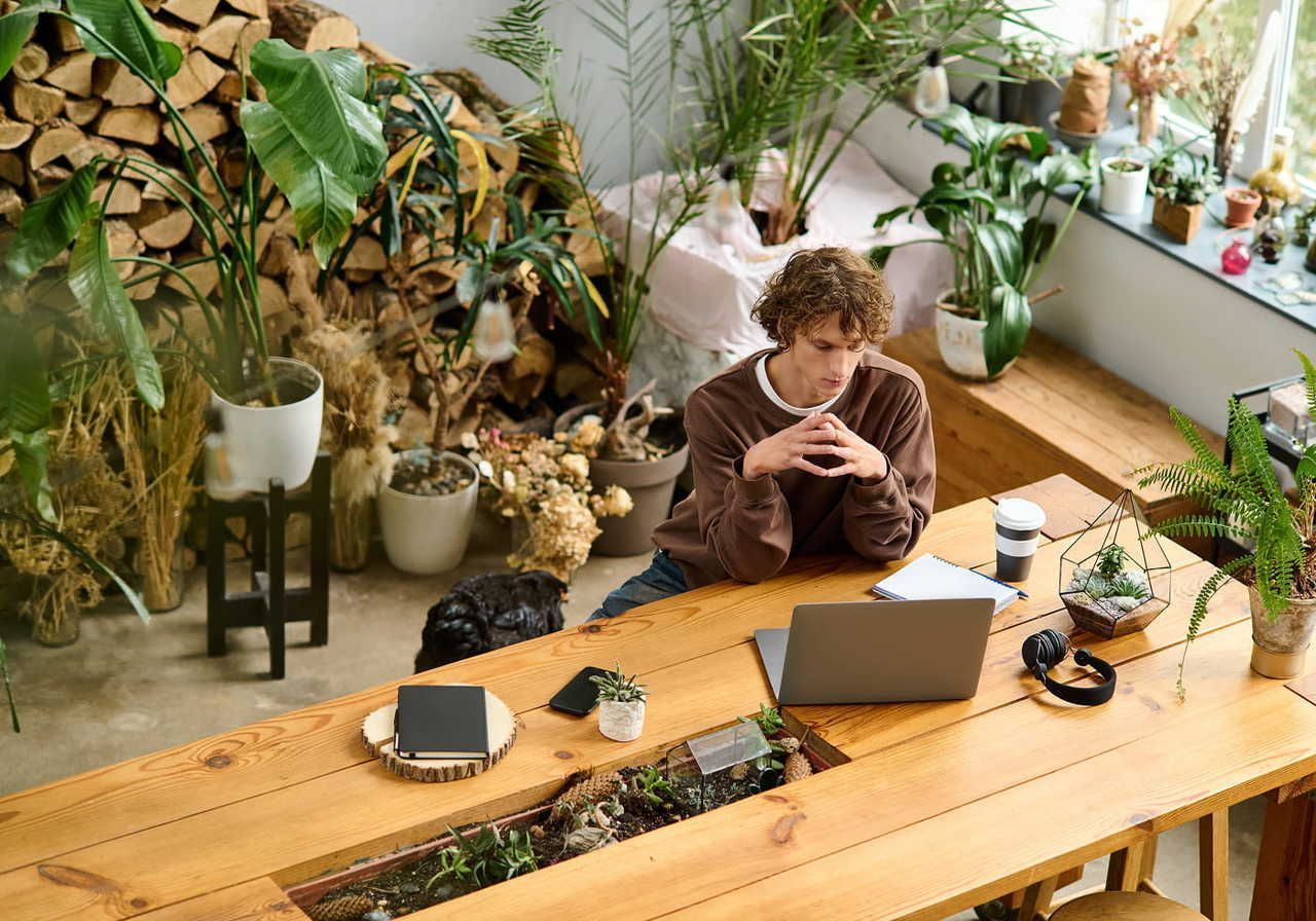 A person in a brown sweater works on a laptop, searching for eco-friendly products to sell at a wooden table surrounded by lush indoor plants.