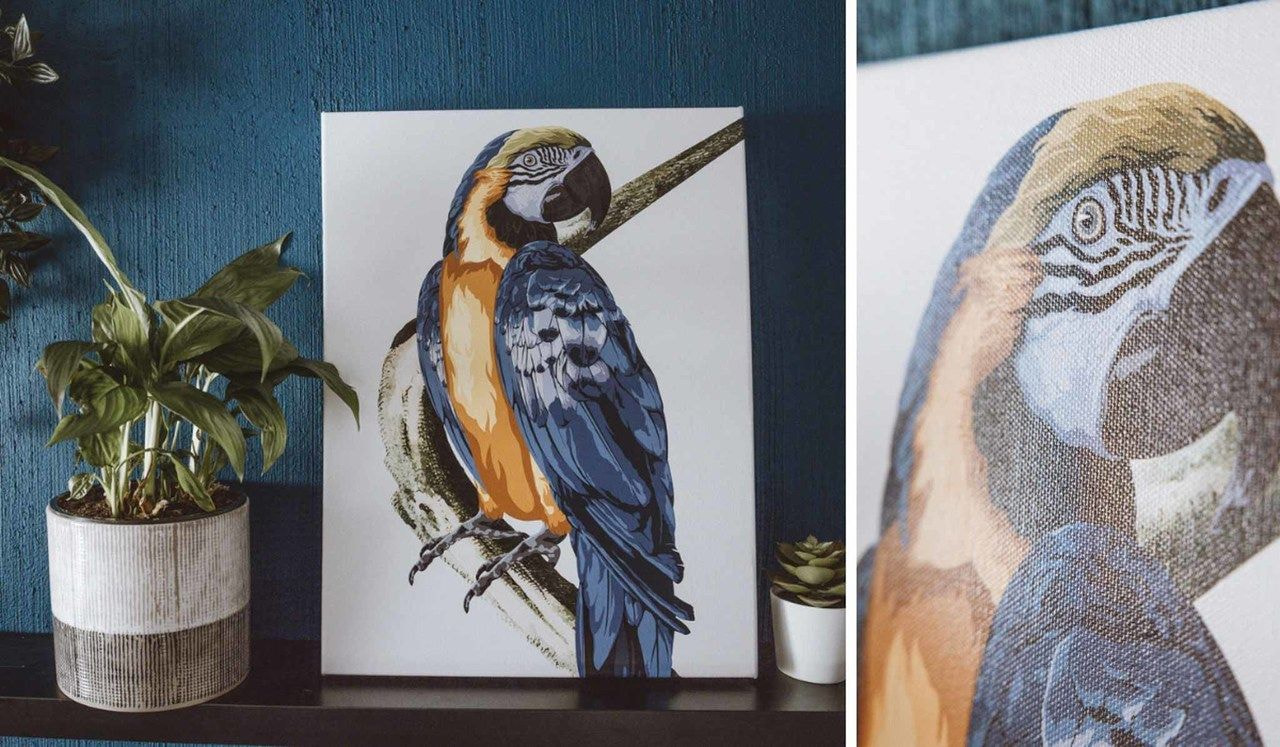 A photo collage of a Giclée print of a painting of a parrot against a bright blue wall