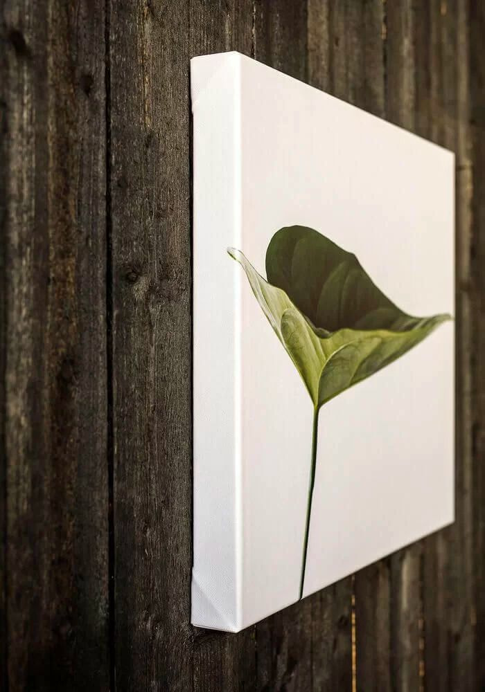 How to Sell Prints on Etsy An 8Step Guide for 2024 Printful